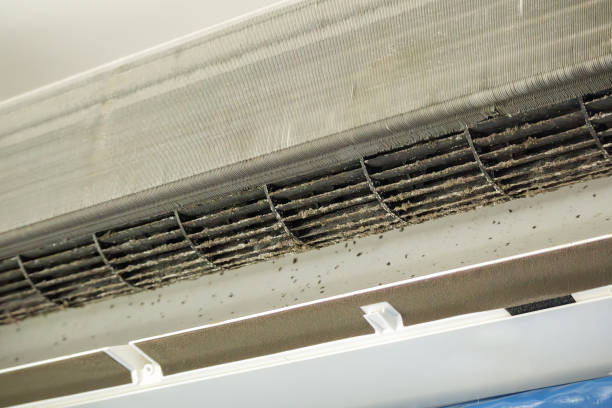 Best Air Vent Cleaning Services  in San Anselmo, CA